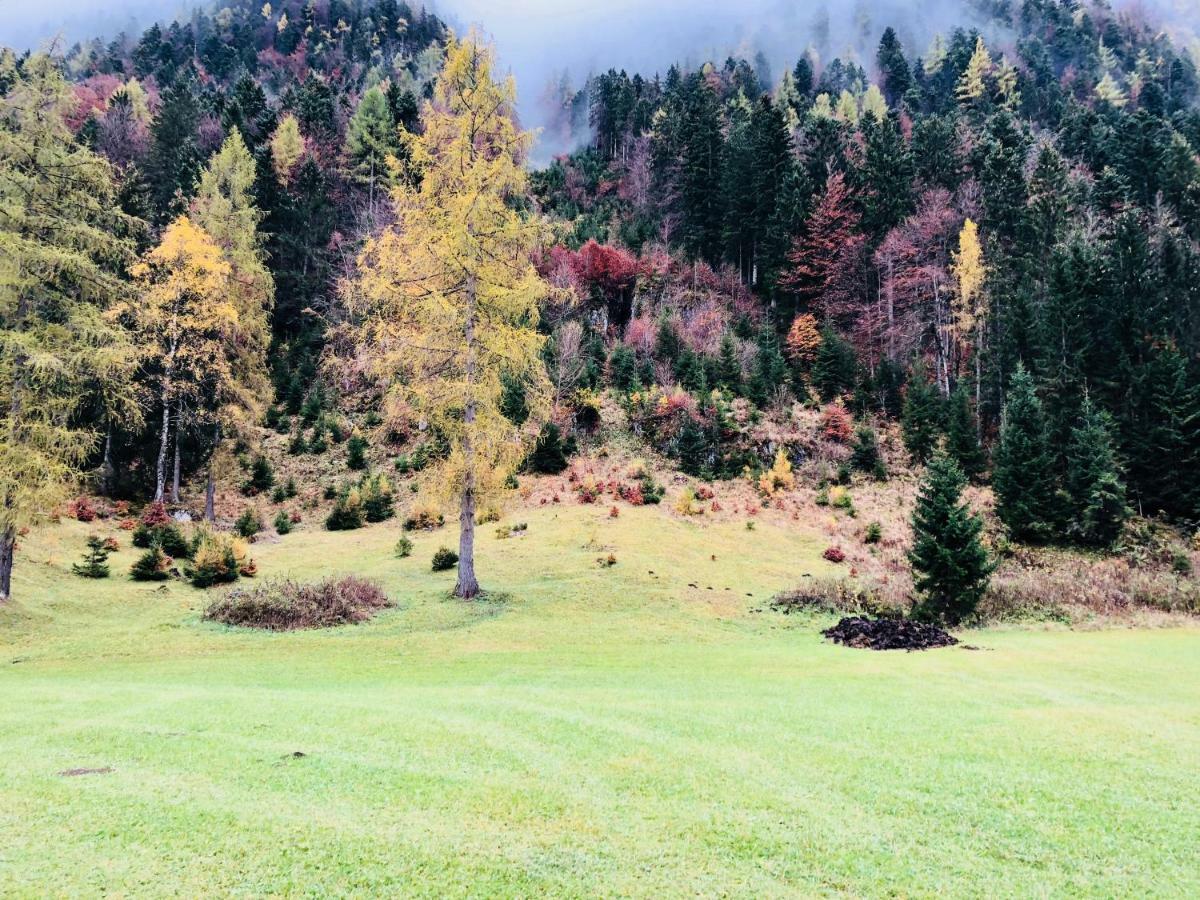 Obern 41 Daire Leutasch Dış mekan fotoğraf