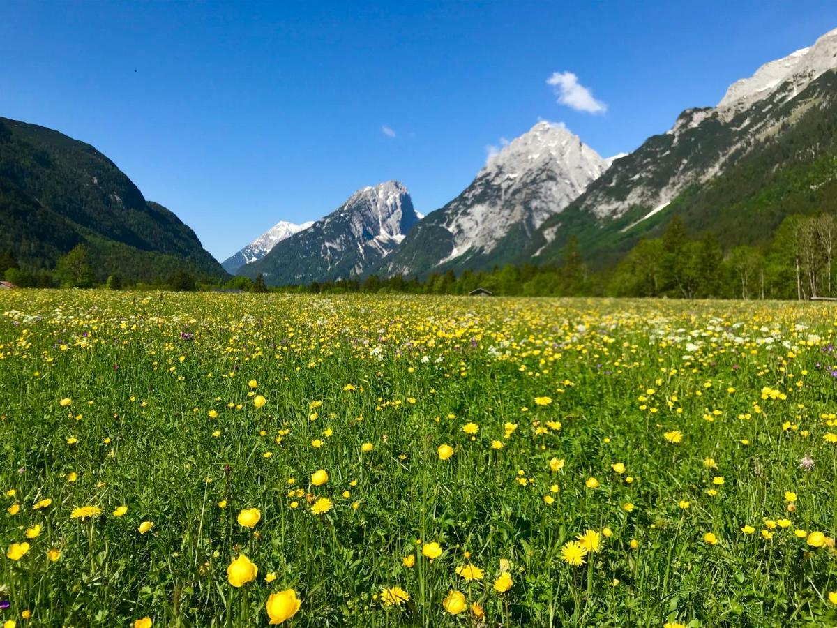 Obern 41 Daire Leutasch Dış mekan fotoğraf